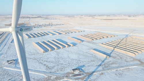 109755_500x500 109755_500x500